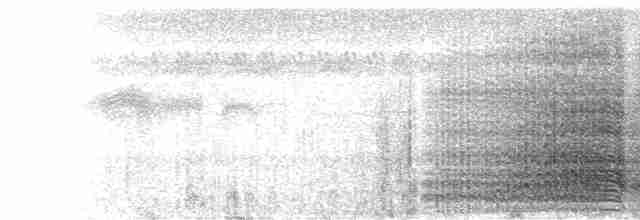  - Blue-and-yellow Macaw