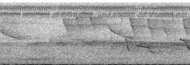 Желтобрюхая кукушка - ML53029