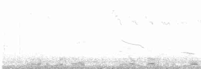 Tinamou sauvageon - ML530290731