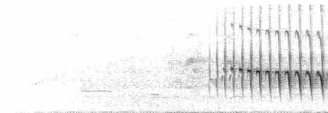  - Red-billed Scythebill