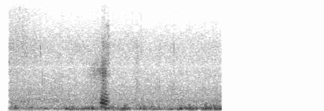 Cisne Trompetero - ML530382631