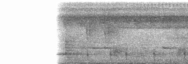 Пеночковая нектарница - ML53039
