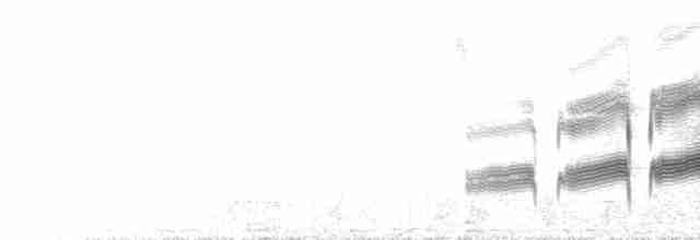  - Many-striped Canastero