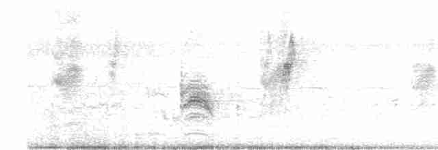 Long-tailed Shrike - ML530427261