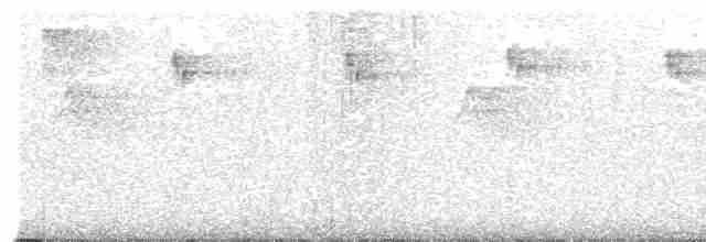 Malabar Gray Hornbill - ML530457201