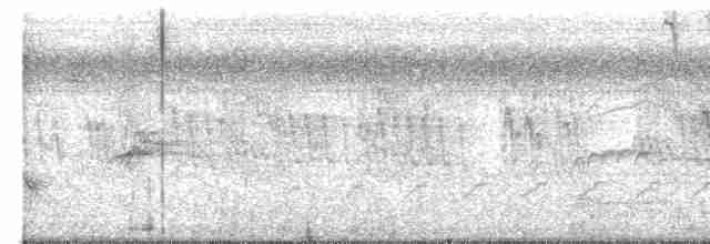 Зернолуск смугастоволий - ML530460851