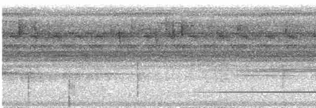 Красногрудый скрытохвост - ML530475181