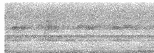 Zigzag Heron - ML530490061