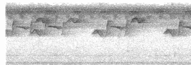 Прямоклювый колибри-отшельник - ML530494031