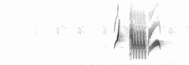  - Small-billed Elaenia