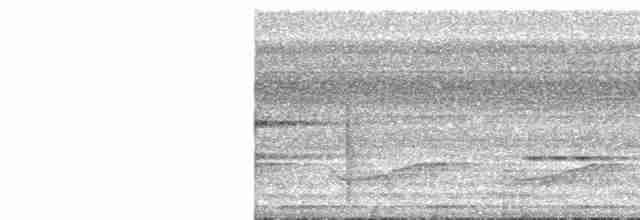 Undulated Tinamou - ML530520701