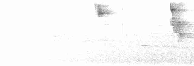 White-naped Brushfinch - ML530536831