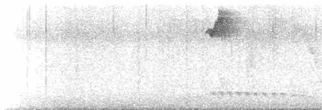 kolibřík hnědohrdlý - ML530586971