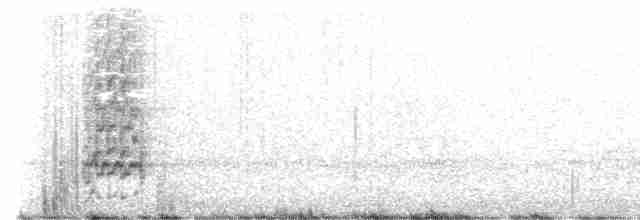 Slender-billed Parakeet - ML530595491