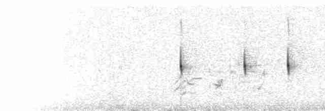  - Spot-billed Ground-Tyrant