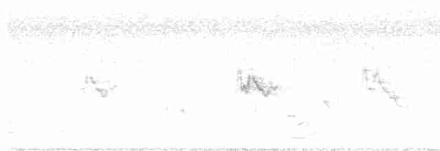 Окулярник сивоспинний - ML530702171