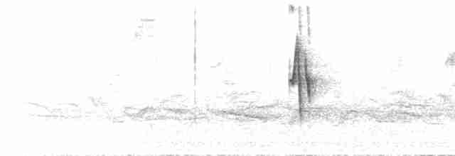  - Rufous-breasted Chat-Tyrant