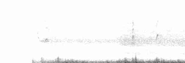 Little Tern - ML530785091