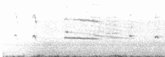 Common Tern - ML530785221