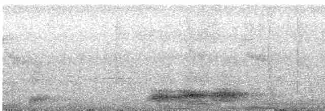 Серый павлиний фазан - ML530786381