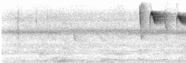 hvithakekolibri - ML530817611
