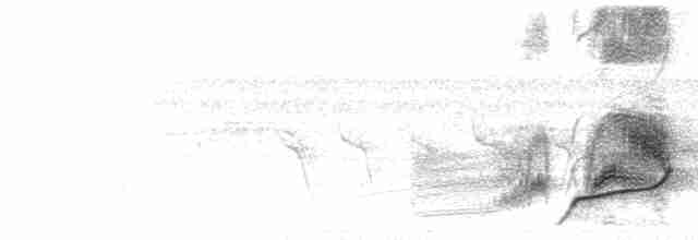  - Black-capped Donacobius