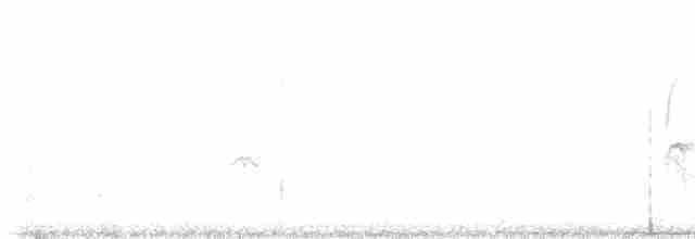 Evening Grosbeak (type 3) - ML530915811