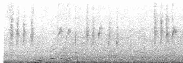 Gray-hooded Parakeet - ML530948651