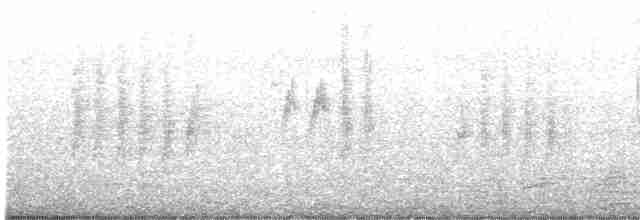 Gray-hooded Parakeet - ML530948661