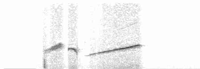 blåvingelattertrost - ML530970401