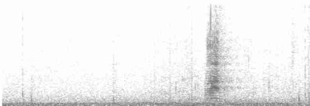 Чапля північна (підвид wardi x occidentalis) - ML530975091