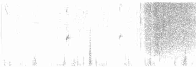 Плавунець плоскодзьобий - ML530985691