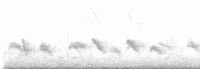 Büyük Mor Kırlangıç - ML531042611