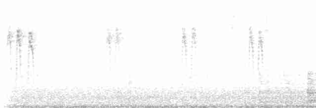 Lavandera Blanca - ML531067201