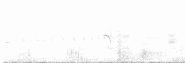 Weißwangen-Dickichtschlüpfer - ML531078141
