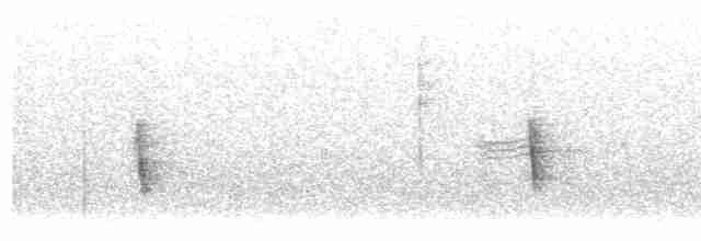 Münzevi Bülbül Ardıcı - ML531089781