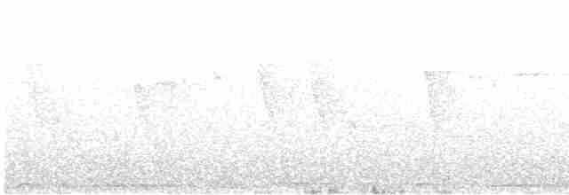 Boz Alınlı Sinekkapan - ML531128861