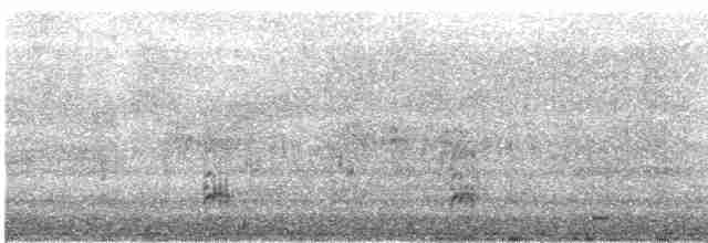 svartkronestylteløper (knudseni) - ML531147011