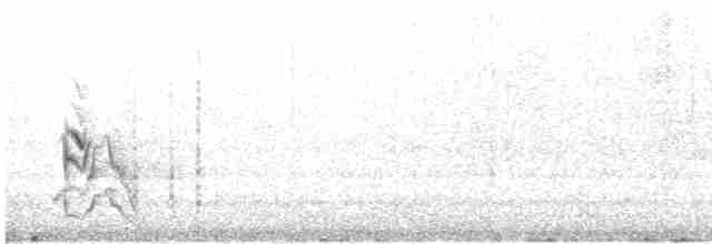 Елепайо гавайський (підвид bryani) - ML531163891