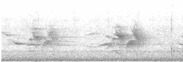 Елепайо гавайський (підвид ridgwayi) - ML531166301