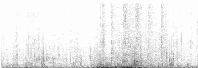 Black-crowned Night Heron - ML531180381
