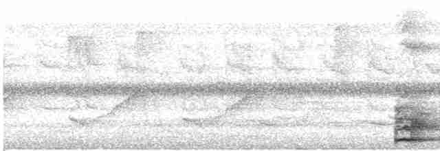 Банкивский петух (Одомашенного вида) - ML531185831