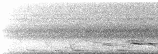 Weißschulter-Ameisenvogel - ML531208601