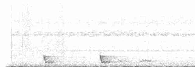 Langschwanz-Nachtschwalbe - ML531209751