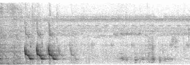 Bubú de Los Papiros - ML53124