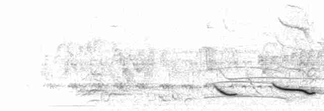  - Venezuelan Troupial