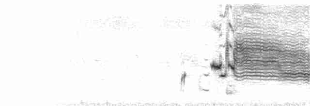  - Yellow-hooded Blackbird