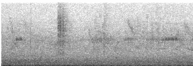 Короткокрылая камышевка - ML531306941