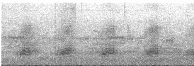 ברווז עקוד-מקור מזרחי - ML531307671