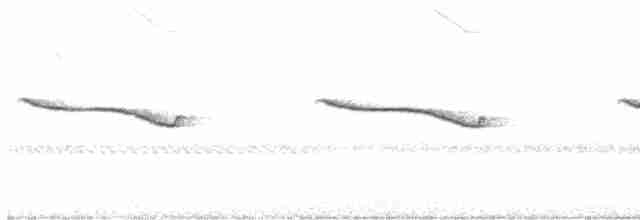 Band-winged Nightjar - ML531348971